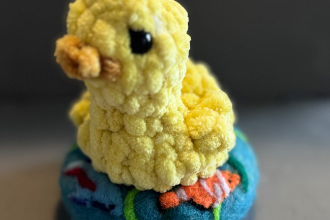 Duck Photo