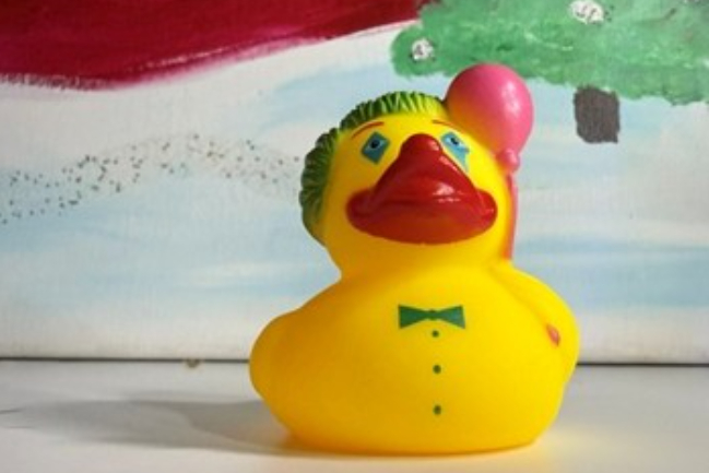 Duck Photo