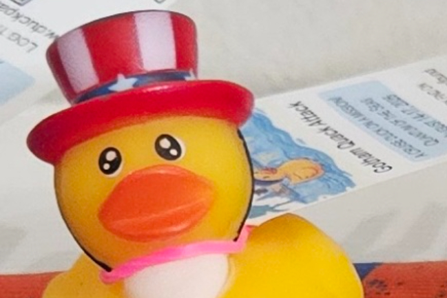 Duck Photo
