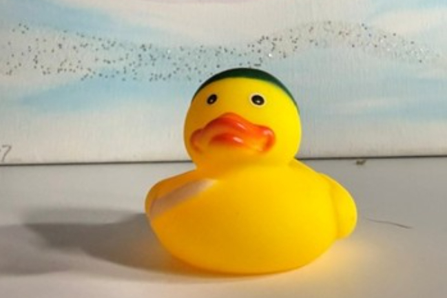 Duck Photo