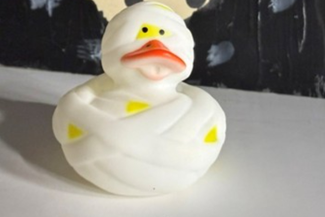 Duck Photo