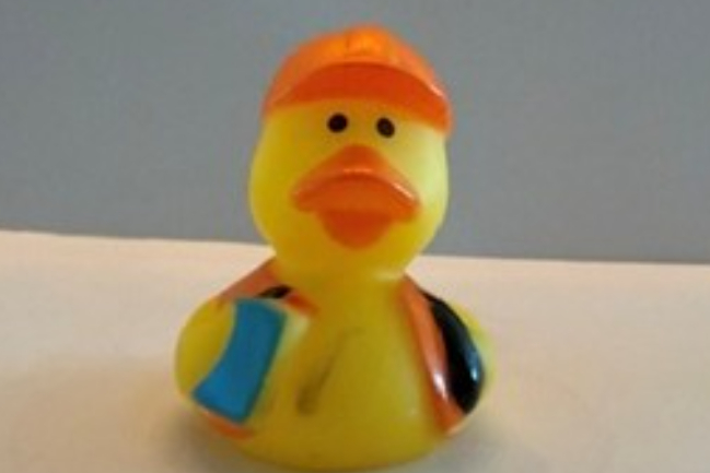 Duck Photo