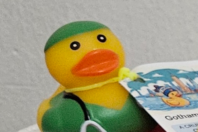 Duck Photo
