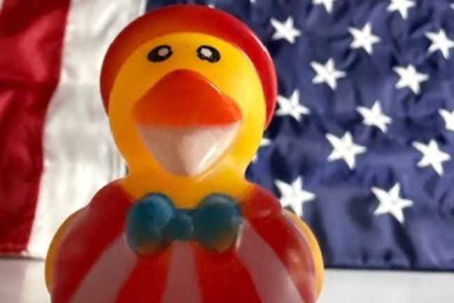 Duck Photo