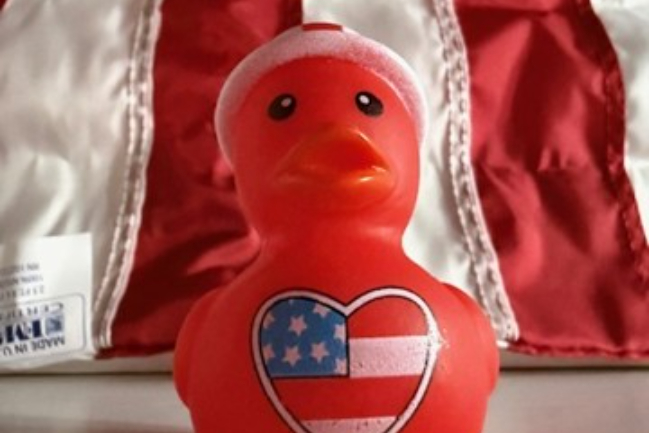 Duck Photo