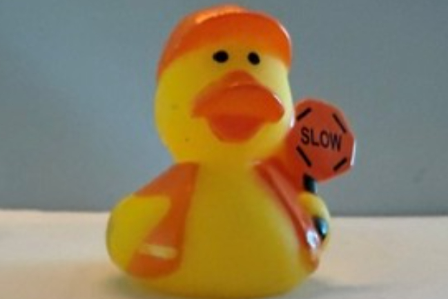 Duck Photo