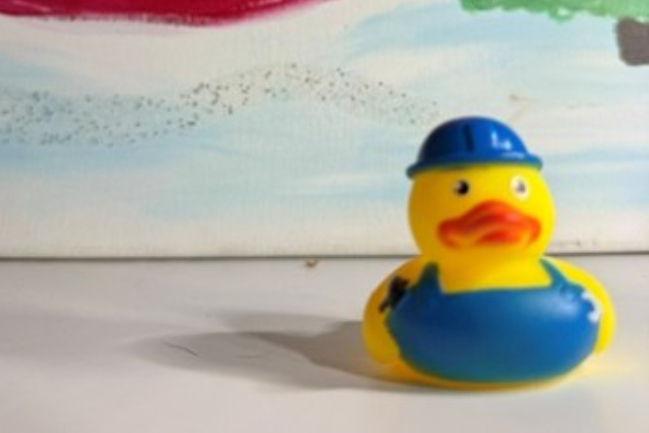 Duck Photo