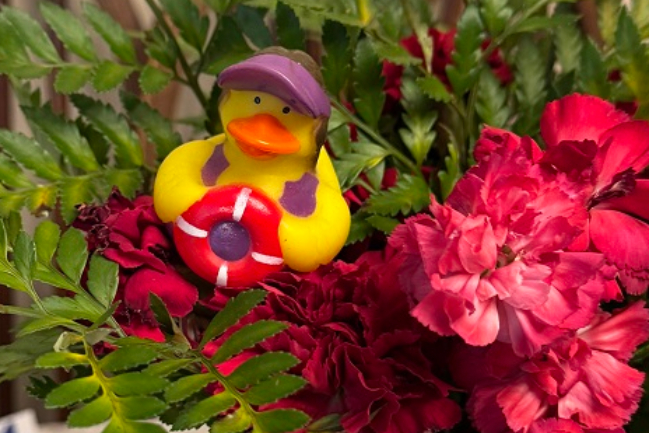Duck Photo
