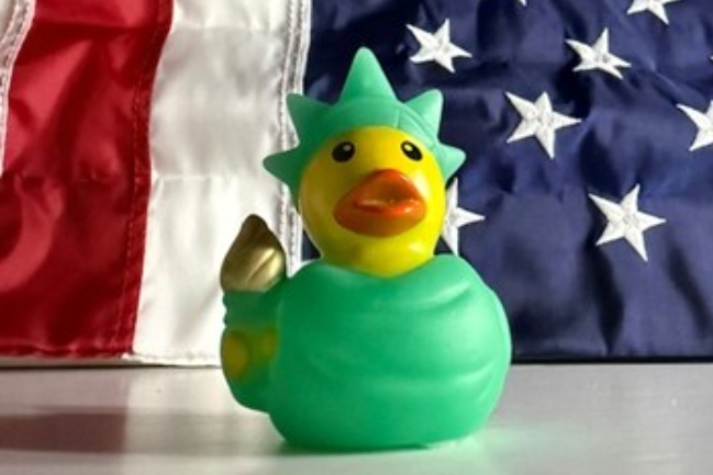 Duck Photo