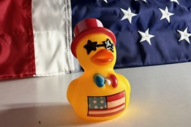 Duck Photo