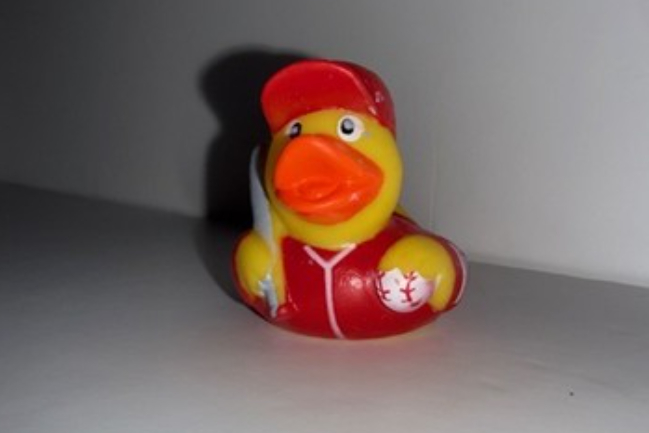 Duck Photo