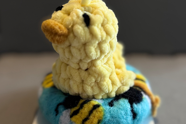 Duck Photo