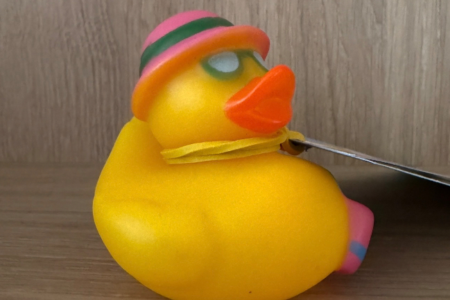 Duck Photo