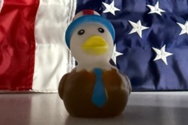 Duck Photo