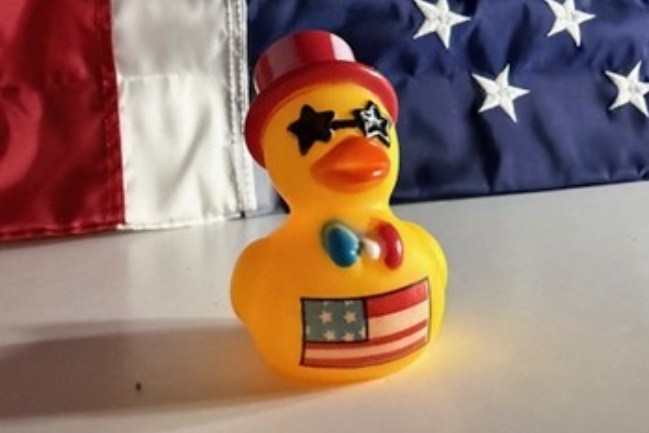 Duck Photo