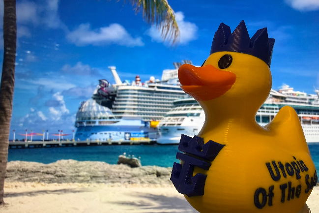 Duck Photo