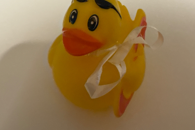 Duck Photo