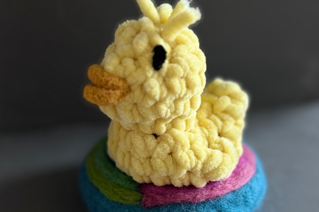 Duck Photo