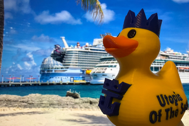 Duck Photo