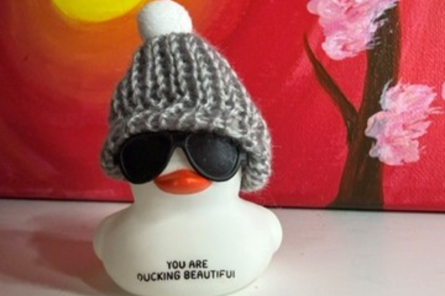 Duck Photo
