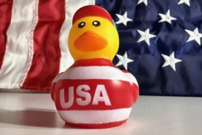 Duck Photo