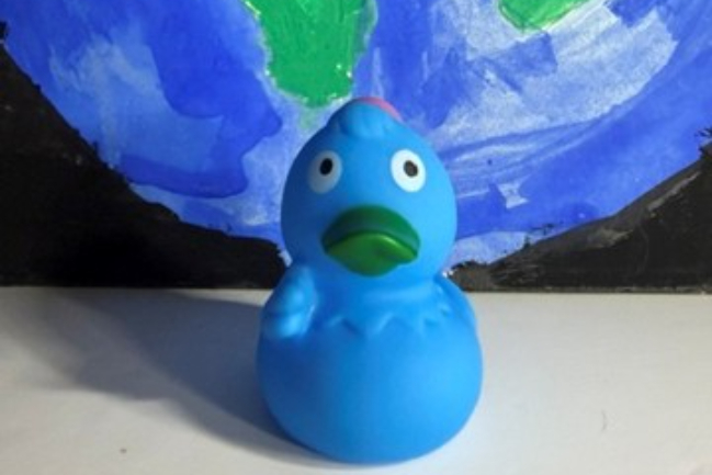 Duck Photo