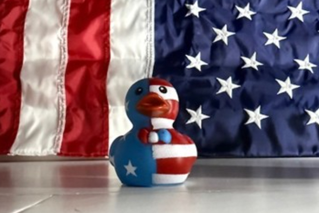 Duck Photo