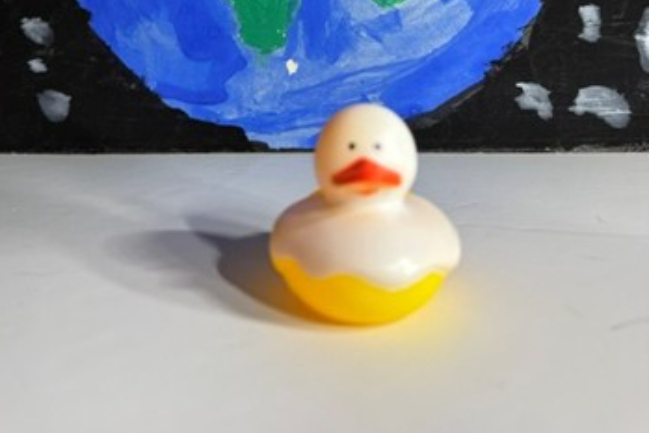 Duck Photo