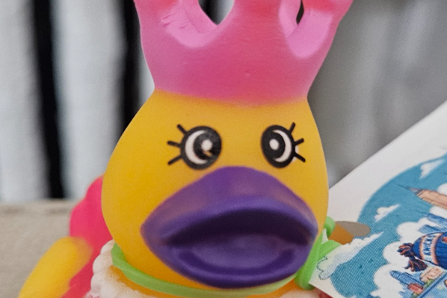 Duck Photo