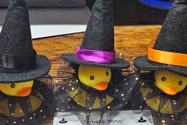 Duck Photo