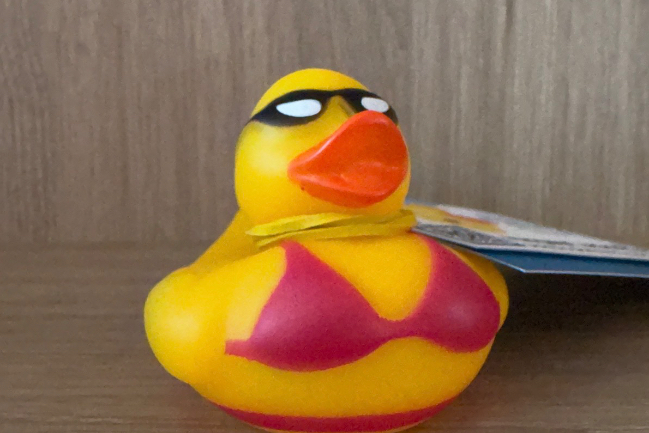Duck Photo