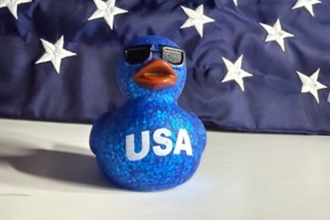Duck Photo