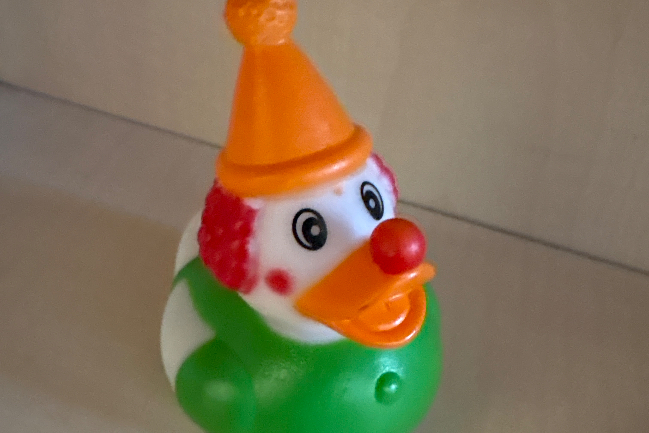 Duck Photo