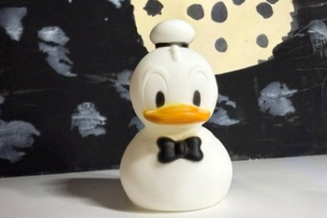 Duck Photo
