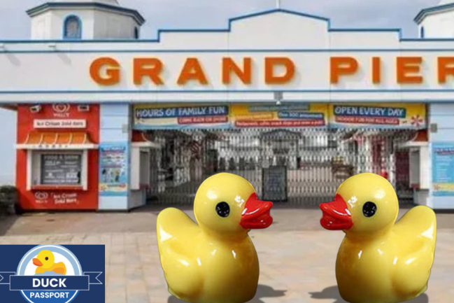 Duck Photo