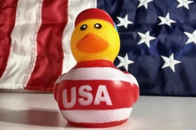 Duck Photo