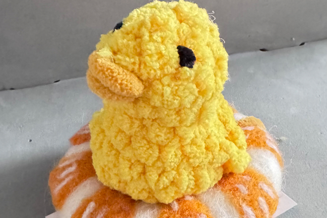 Duck Photo