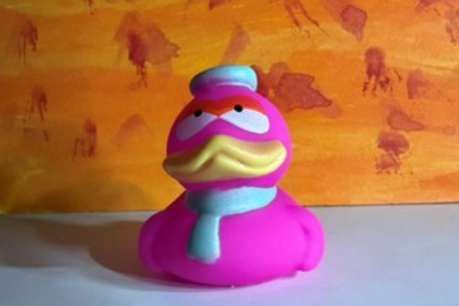 Duck Photo