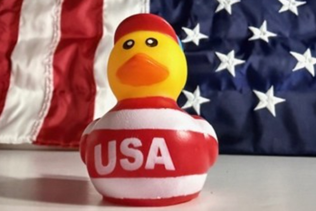 Duck Photo