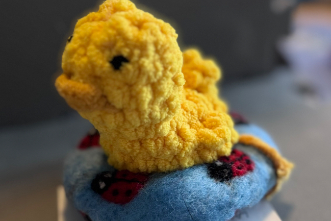 Duck Photo