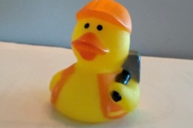 Duck Photo