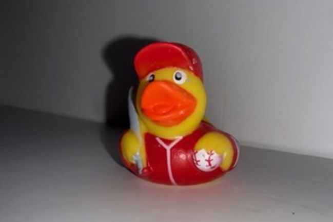Duck Photo